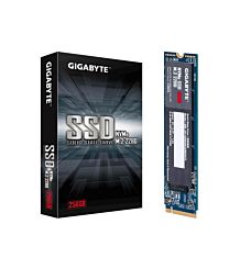 DISCO GIGABYTE SSD 256 M.2 GP-GSM2NE3256GNTD
